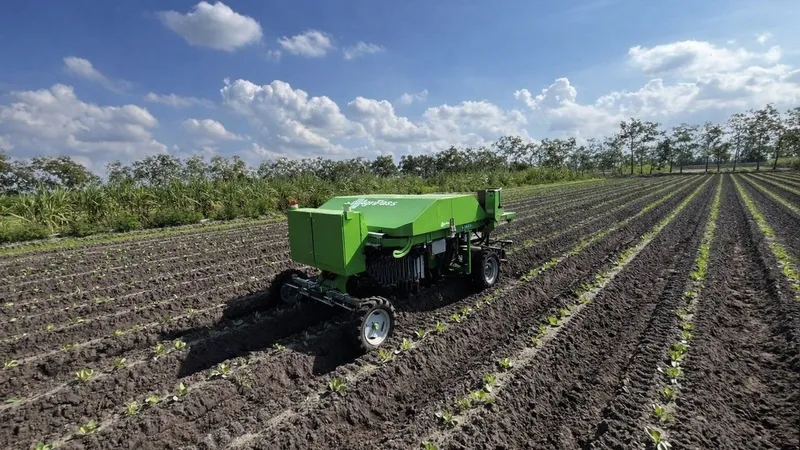 A green agricultural robot moves through rows of young crops in a field.